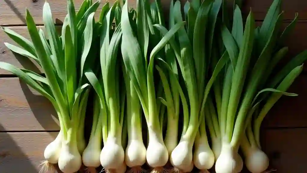 Cueillette de plantes sauvages comestibles : 10 trésors du printemps à découvrir