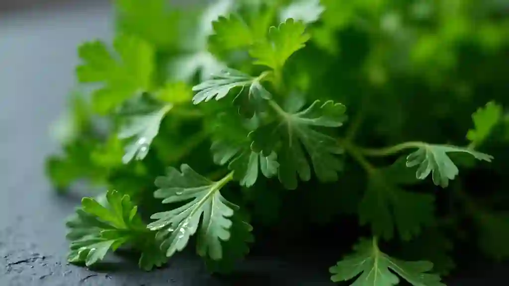 Les bienfaits du persil au quotidien : santé et recettes