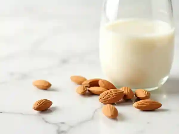 Comparatif des laits végétaux : goût, nutrition et usages culinaires