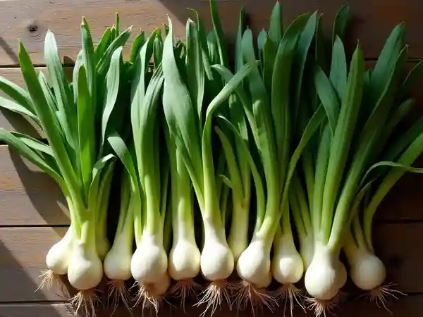 Cueillette de plantes sauvages comestibles : 10 trésors du printemps à découvrir