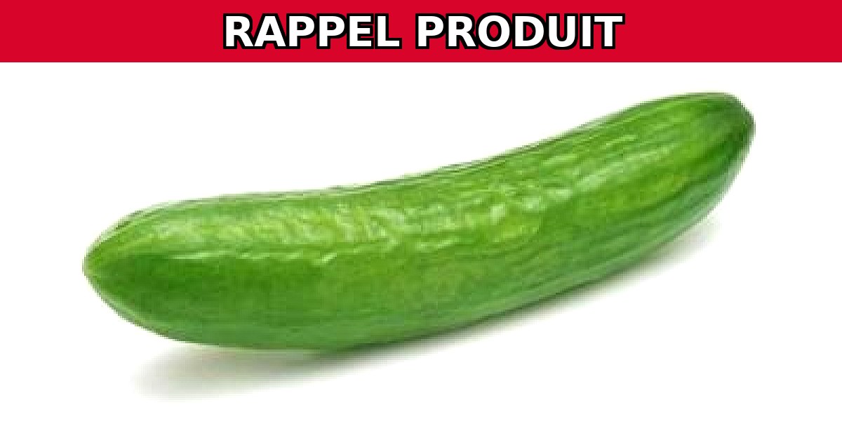 Alerte Rappel : Concombres Frais Longs Contaminés !