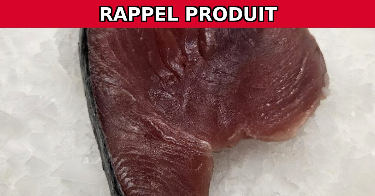 Alerte Rappel : Longe de Thon Albacore Contaminée par Histamine