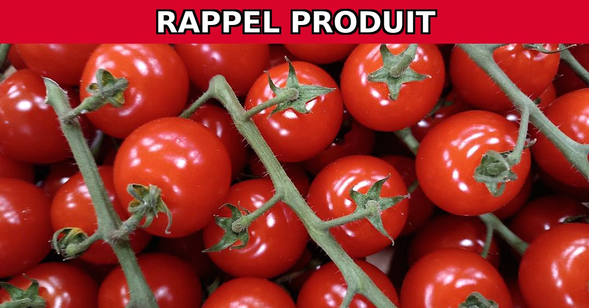 Rappel urgent : Tomate Cerise Grappe d'Espagne en 3kg