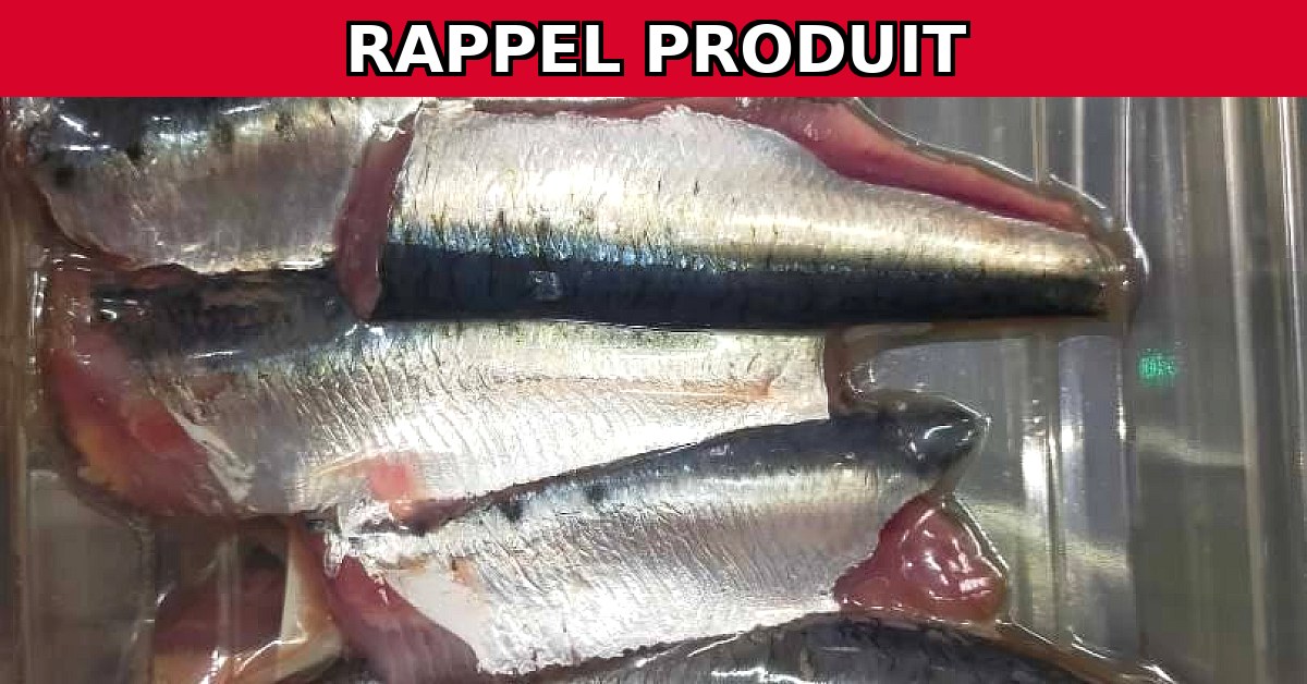 Alerte Rappel : Filets de Sardine Contaminés à l'Histamine