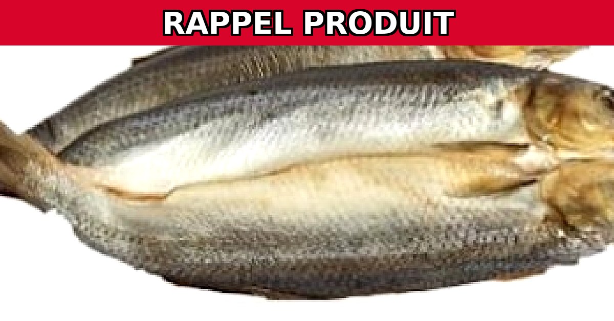 Alerte Rappel : Kippers en Vrac Contaminés à la Listeria
