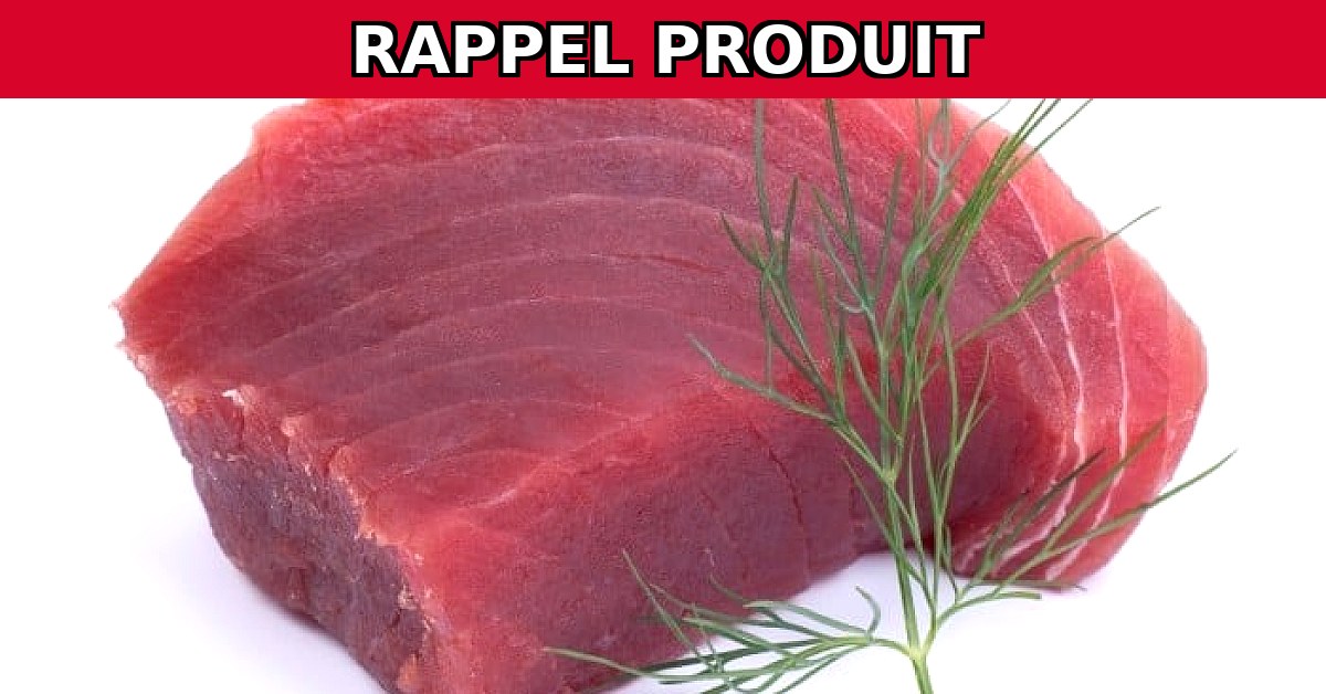 Alerte Rappel : Longe de Thon Contaminée en Vente !