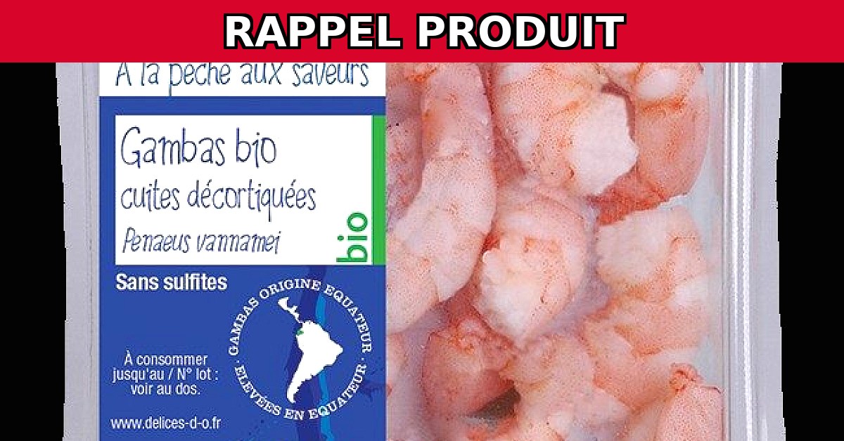 Alerte Rappel : Gambas Cuites Décortiquées Contaminées !