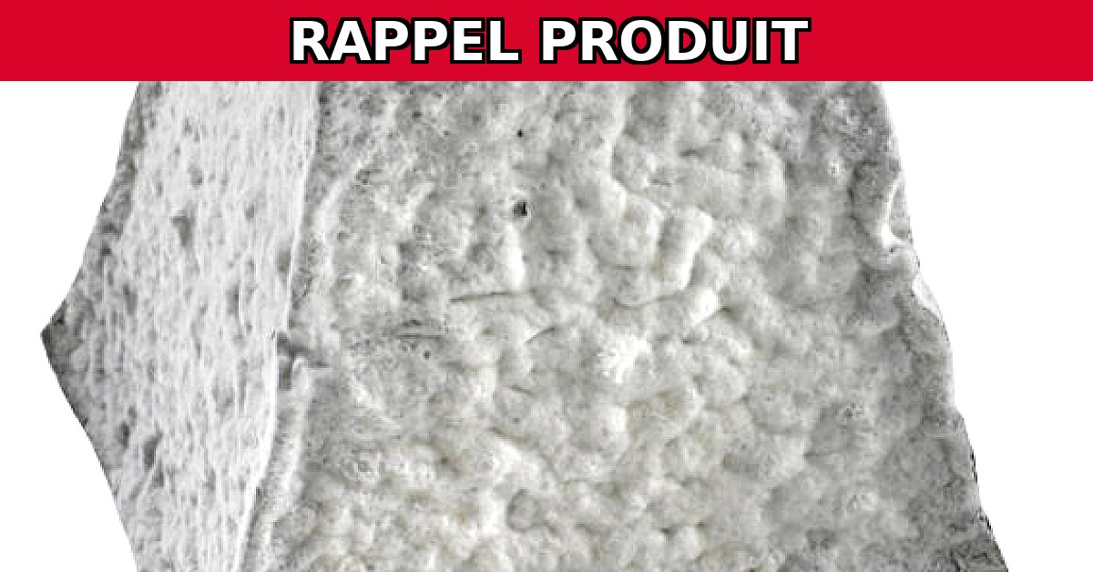 Rappel urgent : Fromagerie d'Anjouin Valençay AOP contaminé par E. coli