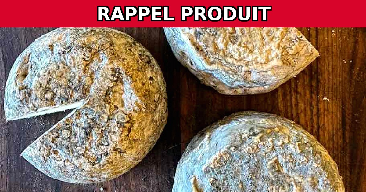 Alerte Rappel : Tommette de Bufflonne Contaminée par Salmonelle