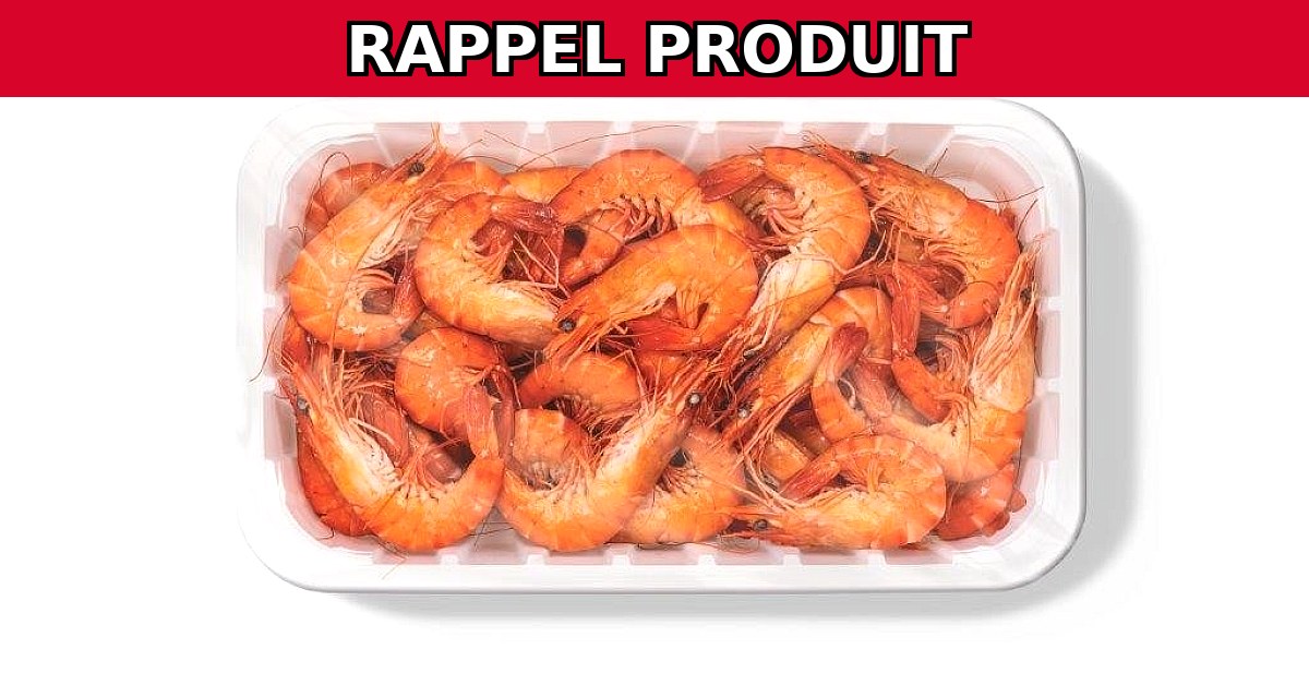 Alerte Rappel : Crevettes Cuites Carrefour Contaminées !