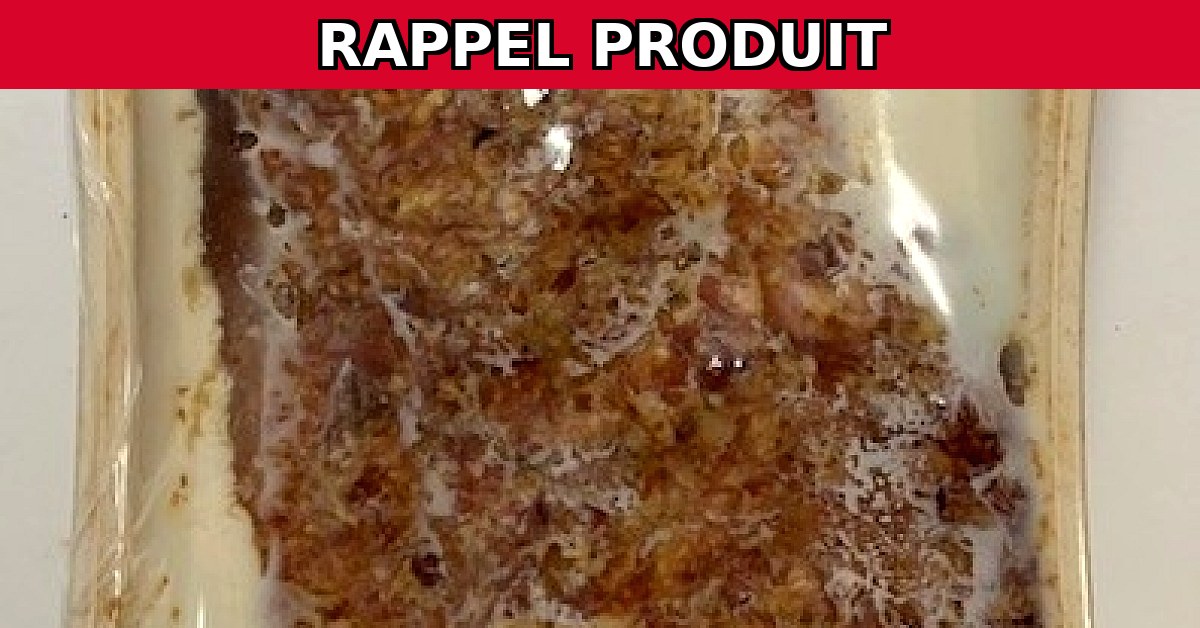 Alerte Rappel : Pâté de Campagne 3kg et 2kg Contaminé par Listeria