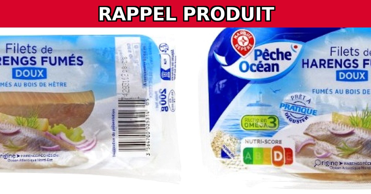 Alerte Rappel : Filets de Hareng Doux Contaminés par Listeria