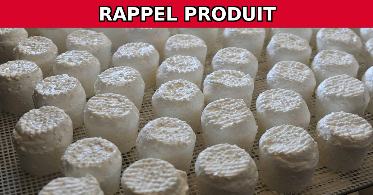 Alerte Rappel : Fromage de Chèvre Contaminé à la Salmonelle