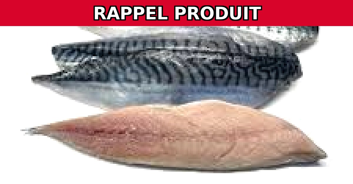 Alerte Rappel : Maquereaux Contaminés en Vente !