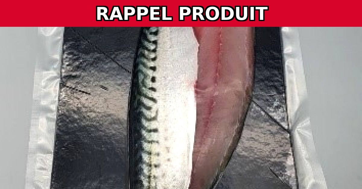 Alerte Rappel : Filets de Maquereaux Contaminés à l'Histamine