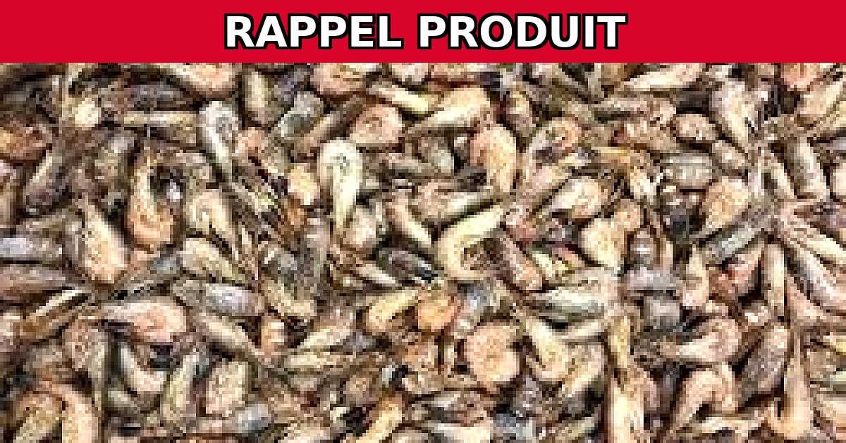 Alerte Rappel : Crevettes Grises Cuites Non Décortiquées Contaminées