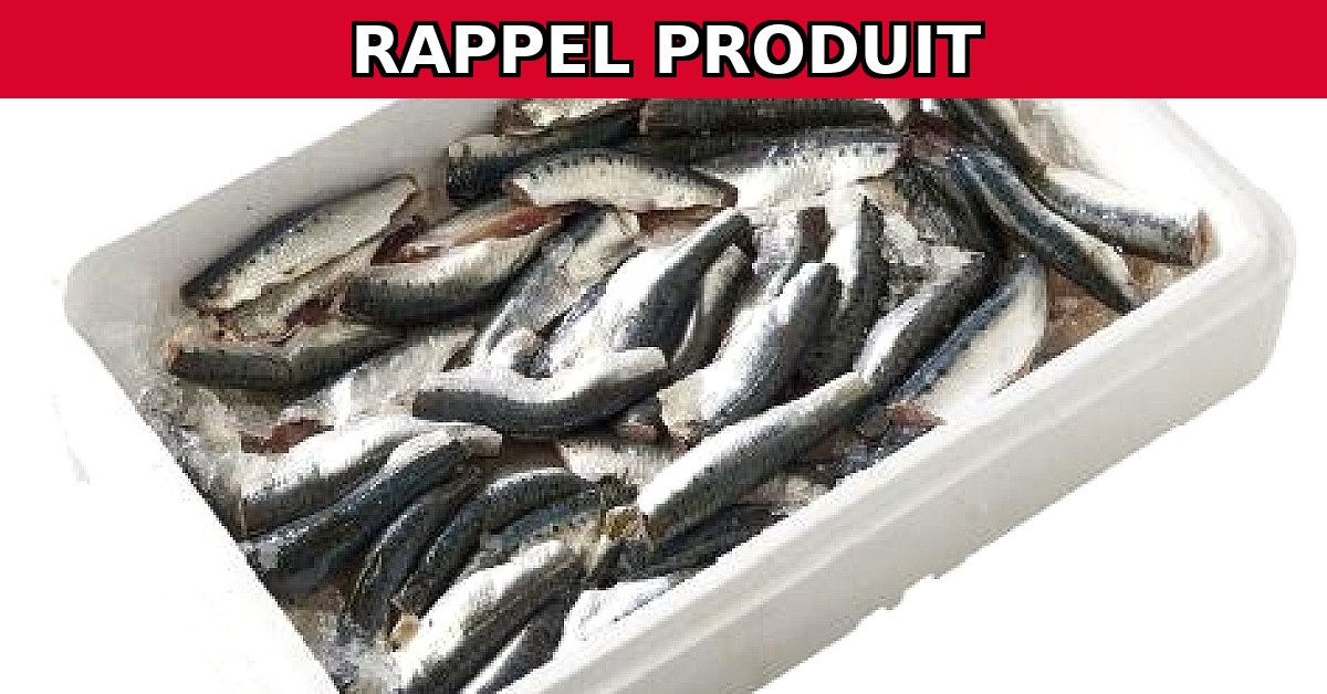 Rappel urgent : SARDINES en étal d'Auchan en raison de la présence d'histamines