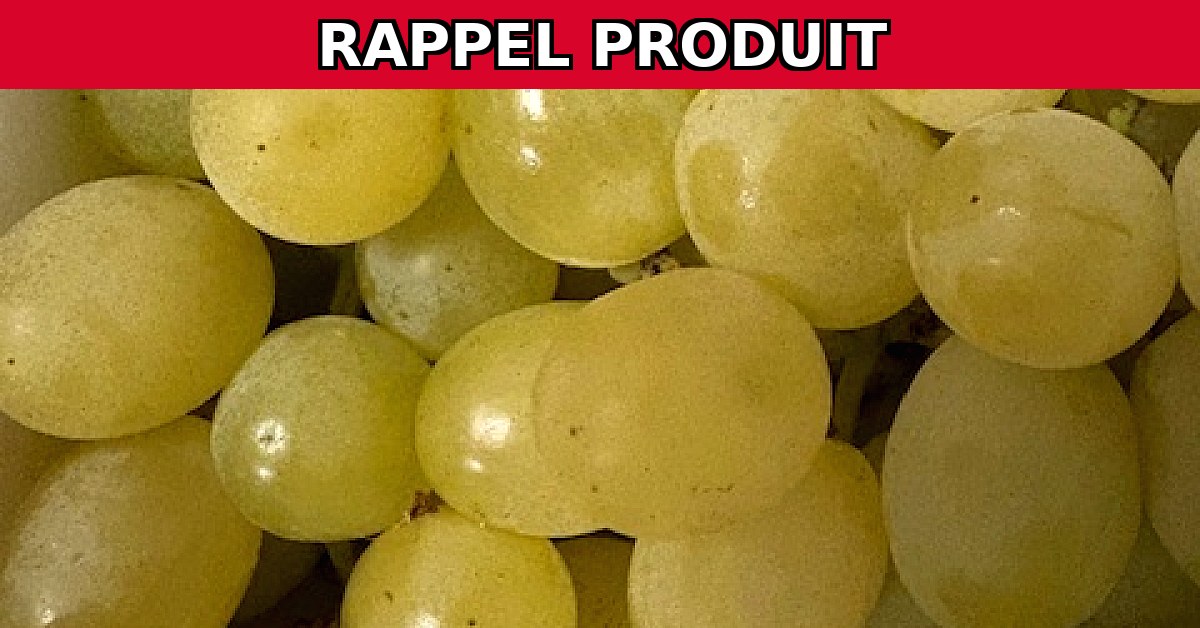 Alerte Rappel : Raisin Blanc d'Italie 11kg Contaminé !