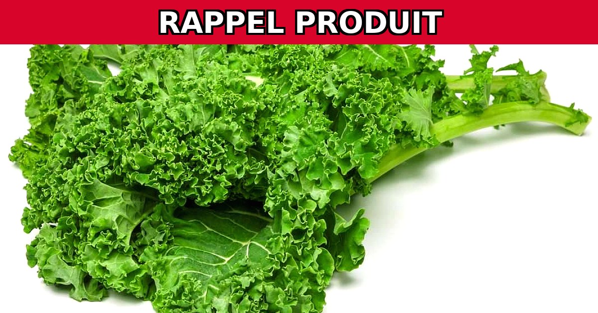 Alerte au rappel : Choux/Kale de la marque Belorta contaminés !