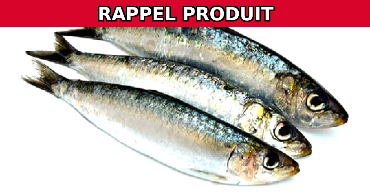Alerte Rappel : Sardines Carrefour Contaminées par Histamine