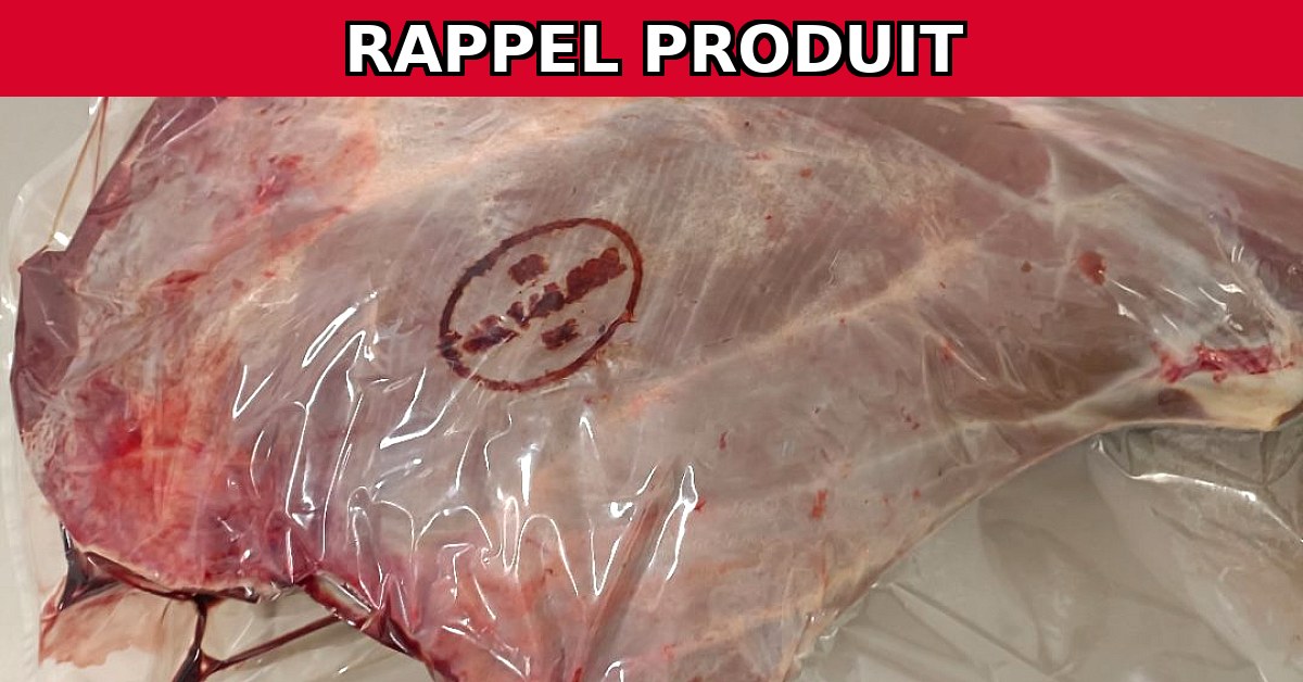 Alerte Rappel : Civets de Cerf, Chevreuil et Sanglier Contaminés !