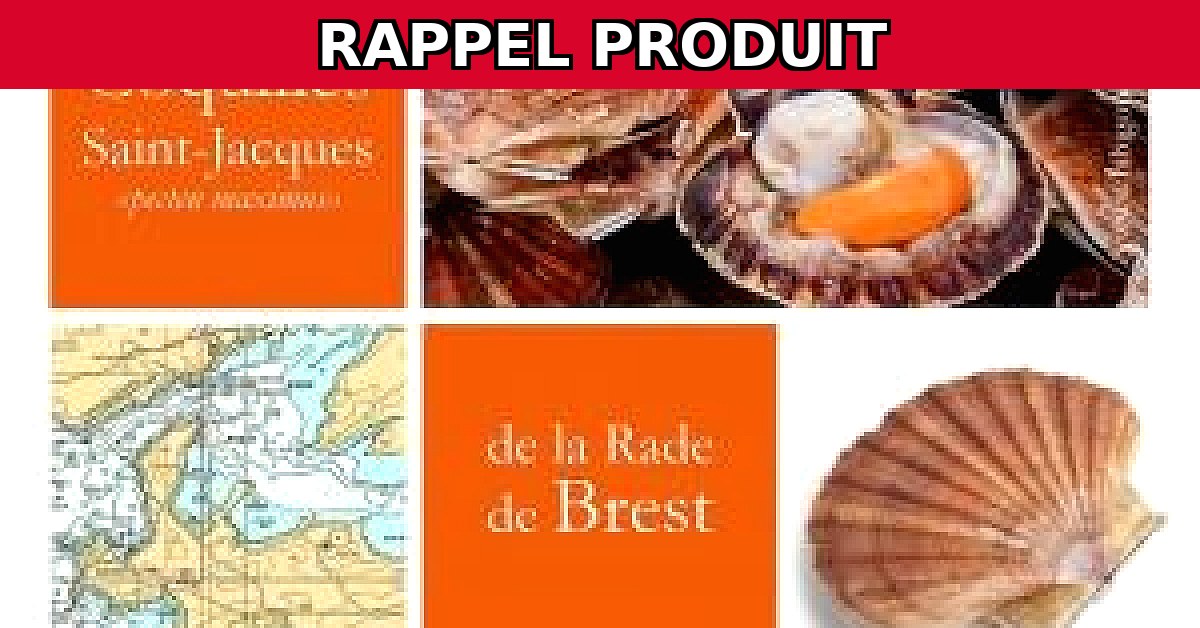 Alerte Rappel : Coquilles St Jacques Coraillee de la Rade de Brest