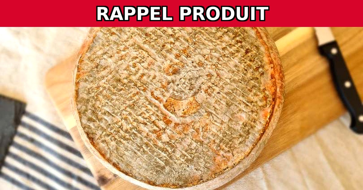 Rappel urgent : ST NECTAIRE FERMIER AOP au lait cru contaminé