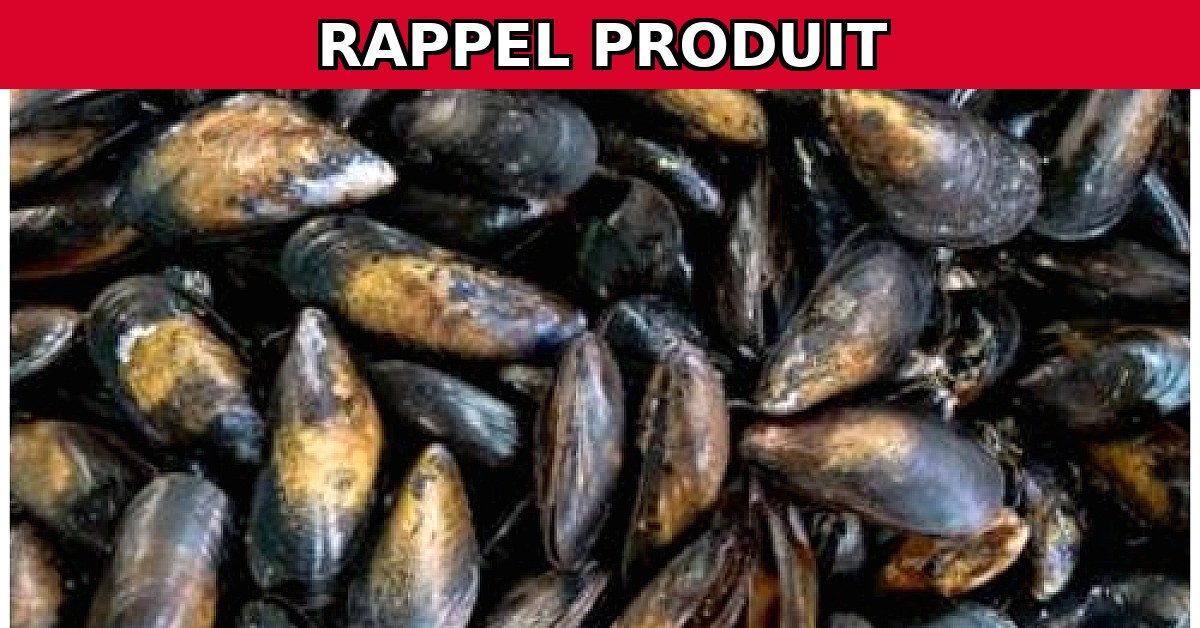 Alerte Rappel : Moules de Bouchot Contaminées par Escherichia coli
