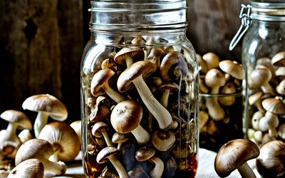 Recette Facile de Conserve Maison de Champignons de Paris - Guide Complet