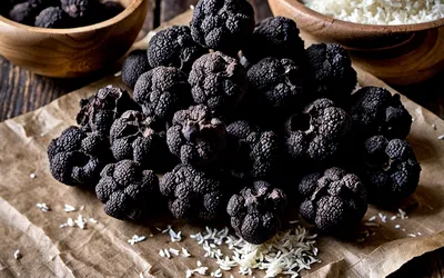 Comment conserver les truffes fraîches : astuces et guide complet
